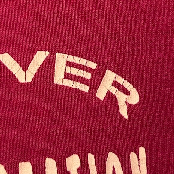 Vintage Dover Recreation Area T Shirt Mens Large 90s Single Stitch Tee Red - Picture 7 of 10